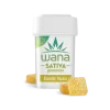 EXOTIC YUZU (HIGH-DOSE MED) // SATIVA Wana Gummies