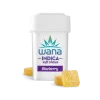 BLUEBERRY (MED) // INDICA Wana Gummies