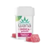 RASPBERRY LIMEADE Wana Gummies