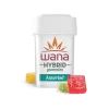 ASSORTED FLAVORS (REC) // HYBRID Wana Gummies