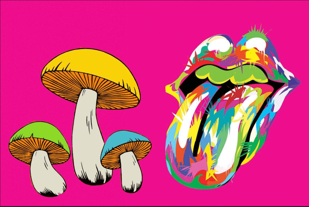 THE AZTEC COMBO: CACAO AND MUSHROOMS