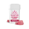 RASPBERRY (MED) // HYBRID Wana Gummies