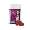 STAY ASLEEP (REC) Wana Gummies