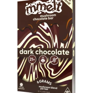 Dark Chocolate Mmelt Magic Mushroom Chocolate Bar 6G