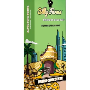 Dubai Chocolate Silly Farms Mushroom Chocolate 10G