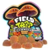 Mango Mania Field Trip Psychedelic Mushroom Gummies