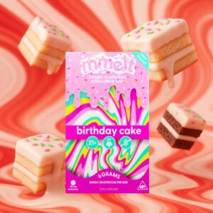 Mmelt Birthday Cake Mushroom Chocolate – 6G