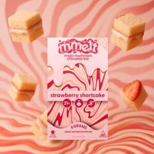 Mmelt Strawberry Shortcake Mushroom Chocolate – 6G