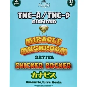 Snicker Bocker Alien Exotics Miracle Mushroom THC-A x THC-P Blend Disposable Vape 4G