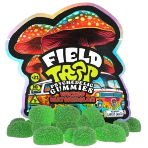 Wicked Watermelon Field Trip Psychedelic Mushroom Gummies