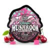 TreHouse Sour Cherry Magic Mushroom Gummies